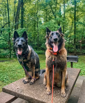 Becca White: Globe-Trotting Dog Mom with a Magic Touch