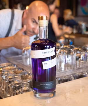 Upscale Family Travel on Land or Sea with My Virtual Vacations