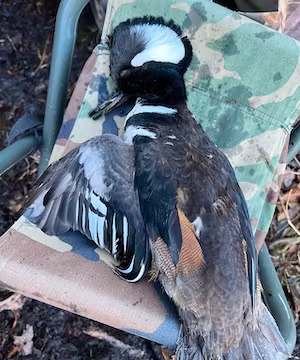 Outdoors page by @frigidcoast