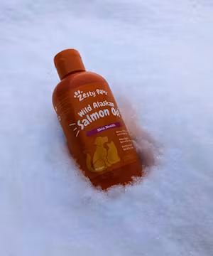 Sponsored Instagram Reel from @Oldladyandthekid