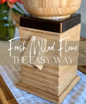 Emily Fuentes: The Sourdough Savvy, Mompreneur Extraordinaire