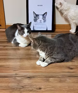 Brand promoter @saving.maisy