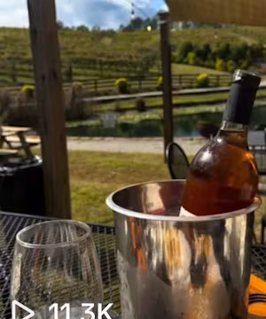 Sweet Life with Candyy: Glam, Glitz, and Gourmet Delights