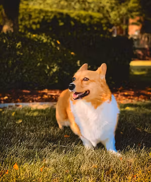 Adventure Awaits: Andrea Syron, the solo hiker, storytelling, photographer